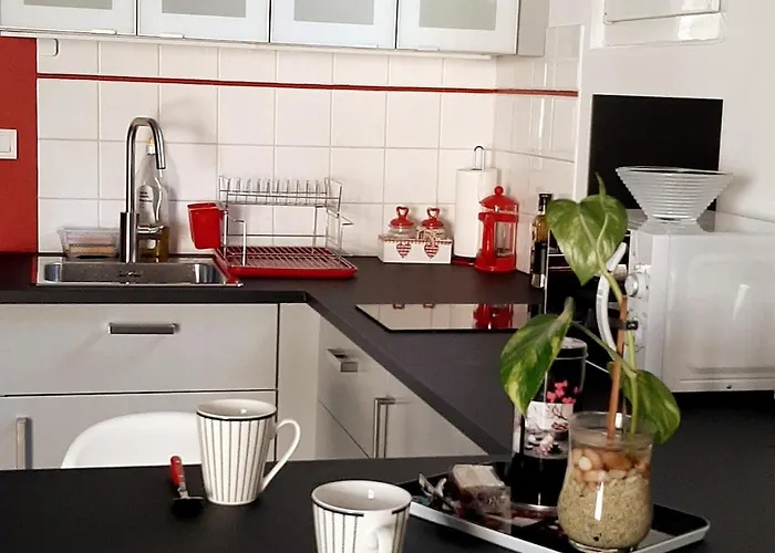 Apartment Le Leon Blum - T2 Cosy And Soothing *